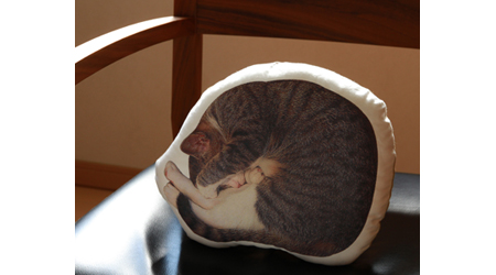 アンモニャイト?眠り猫クッション。うちでは通称「まるまるうー」と呼んでいる アンモニャイト?眠り猫クッション。うちでは通称「まるまるうー」と呼んでいる