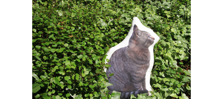 座り猫クッションのイメージ写真。 座り猫クッションのイメージ写真。