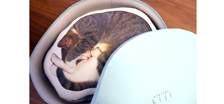 眠り猫Lサイズクッション用ギフトボックス試作品 眠り猫Lサイズクッション用ギフトボックス試作品