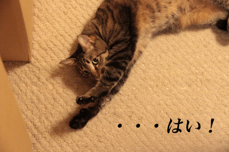 ・・・はい! ・・・はい!