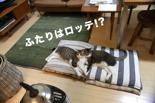 ふたりはロッテ!? ふたりはロッテ!?