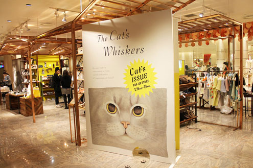 Cat's ISSUE Cat's ISSUE