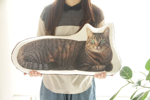 横たわる猫(LL) 横たわる猫(LL)