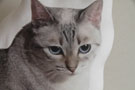 むくちゃん! むくちゃん!