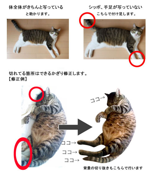 どんな写真でもOK！メールに添付して送るだけ！