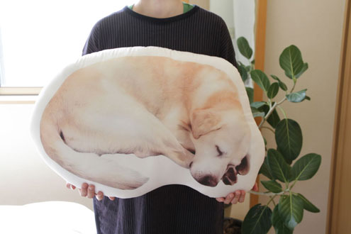 ラブラドール・レトリバーLLクッション ラブラドール・レトリバーLLクッション