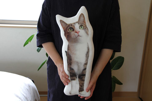 見上げる猫Lクッション 見上げる猫Lクッション