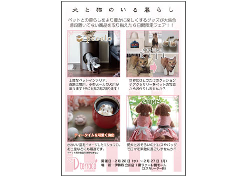 犬と猫のいる暮らし 犬と猫のいる暮らし