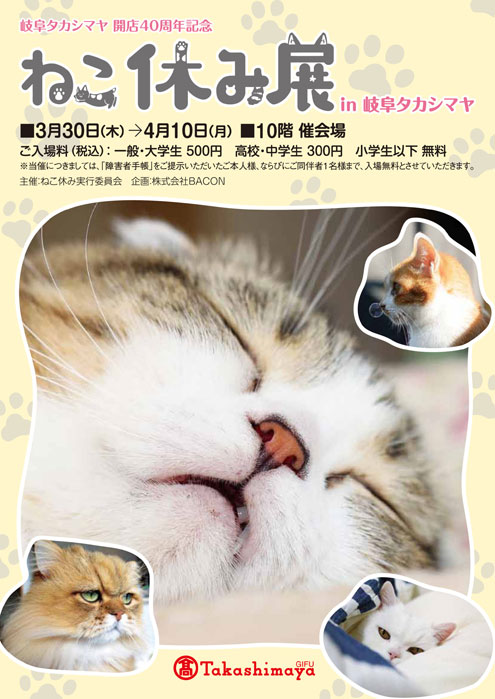 猫休み展in岐阜タカシマヤ 猫休み展in岐阜タカシマヤ