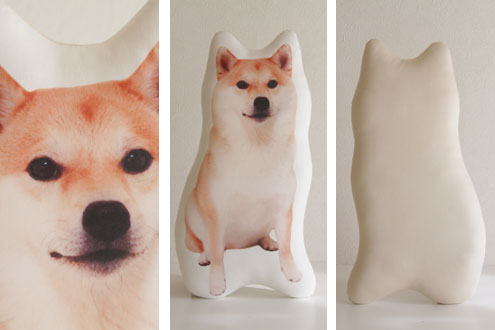 柴犬だいふく 柴犬だいふく
