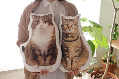 はなまるクッション はなまるクッション