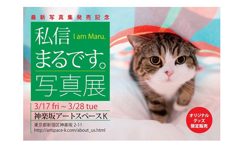はなまるクッション はなまるクッション