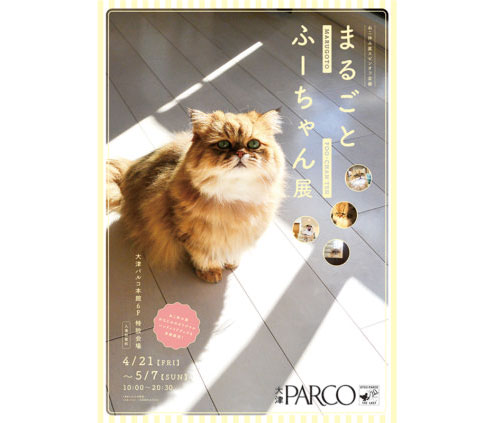 ねこ休み展スピンオフ企画「まるごとふーちゃん展」in 大津パルコ