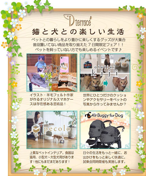 猫と犬との楽しい生活 猫と犬との楽しい生活