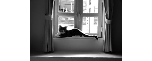 オーダーメイド一時休止のお知らせ オーダーメイド一時休止のお知らせ