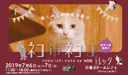 ネコ市ネコ座 ネコ市ネコ座