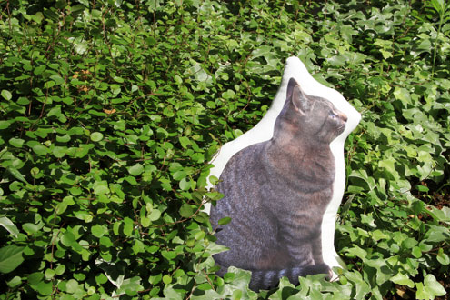 座り猫イメージ・猫クッション 座り猫イメージ・猫クッション